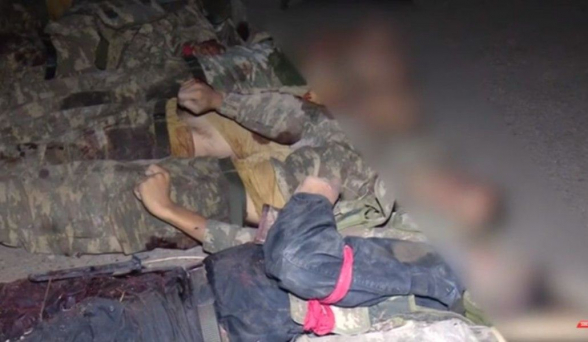 Ադրբեջանին պետք չեն սեփական դիերը․ դիտեցի այն տեսանյութը, թե ինչպես են ճահճուտներում կենդանիները հոշոտում նրանց դիերը․ Արծրուն Հովհաննիսյան